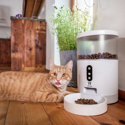 Dozownik karmy dla zwierząt TESLA TSL-PC-BL4 Smart Pet Feeder