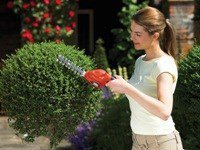 BLACK+DECKER NOŻYCE DO ŻYWOPŁOTU   3,6V GSL300 15cm