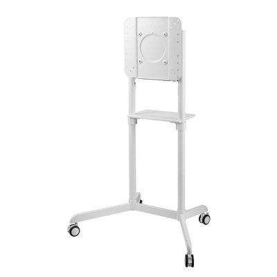 ZESTAW TV FLOOR STAND 37-70&quot; NS-M1250WHITE NEWSTAR