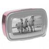 Tornister dla Dziecka do 1 klasy w Zestawie 5w1 Paso [PP21HO-525]