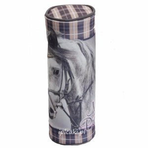 Piórnik szkolny z koniem koń konik tuba (604846)