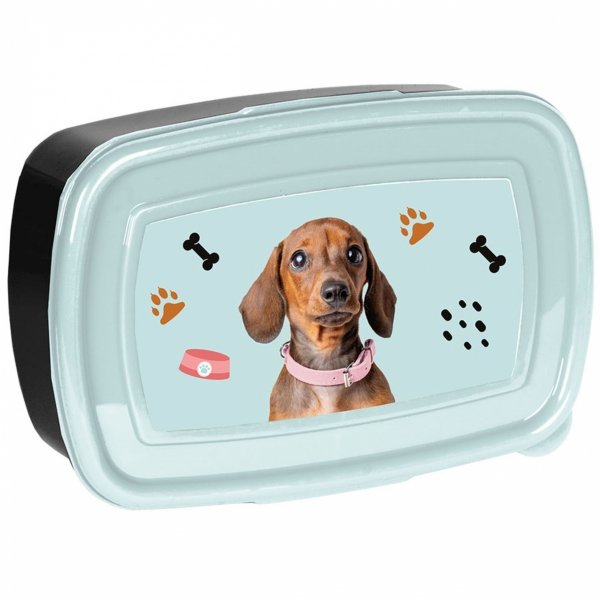 TORNISTER SZKOLNY Z PIESKIEM JAMNK DO 1 KLASY PODSTAWÓWKI ZESTAW 5el PIES