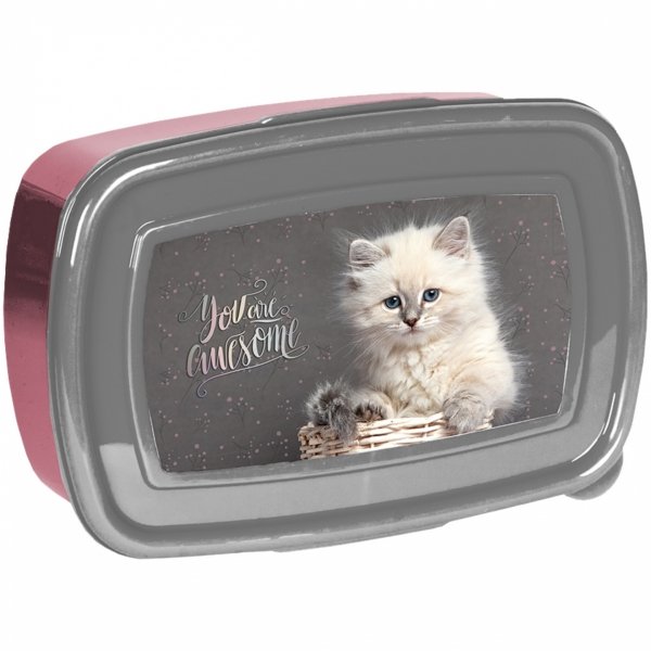 PASO TORNISTER SZKOLNY KOTY DZIEWCZĘCY Z KOTKIEM KOMPLET 5w1 KOTKI