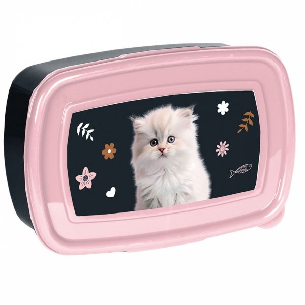 KOTEK ZESTAW 2w1 BIDON ŚNIADANIÓWKA DLA UCZENNIC Z KOTKAMI DO SZKOŁY PASO