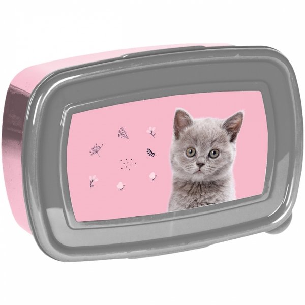 Komplet Kot Bidon Śniadaniówka z Kotkiem Zestaw Śniadaniowy dla Dziewczynek