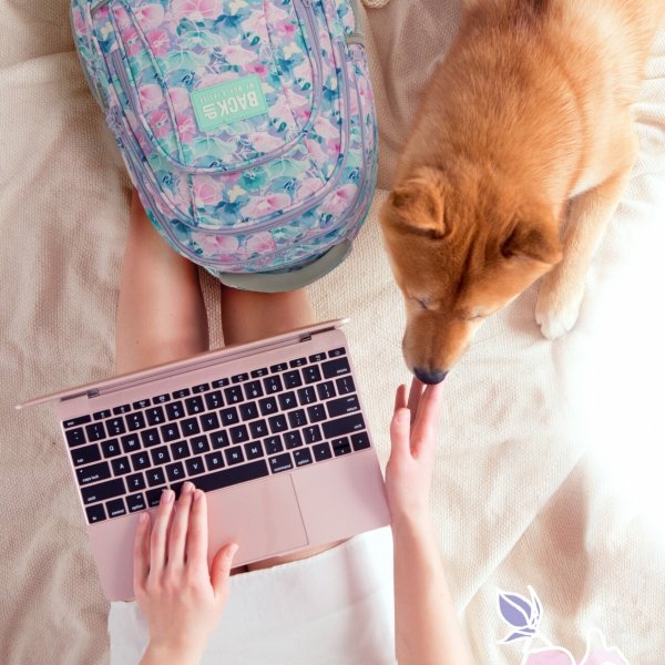 KWIATY BACKUP PLECAK MŁODZIEŻOWY KWIATKI SZKOLNY DZIEWCZĘCY ZESTAW 5w1