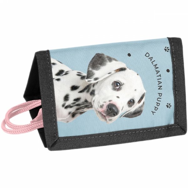 PORTFEL DZIECIĘCY Z PIESKAMI SZKOLNY PASO PORTFELIK DLA DZIEWCZYNEK PIESEK