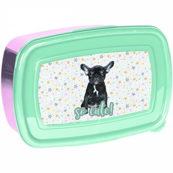 ZESTAW 2w1 BIDON ŚNIADANIÓWKA DLA UCZENNIC Z PIESKAMI DO SZKOŁY PASO PIESEK