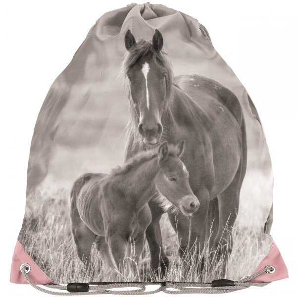 Plecak Dziewczęcy Nowoczesny w Konie z Końmi Paso [PP20KO-260]