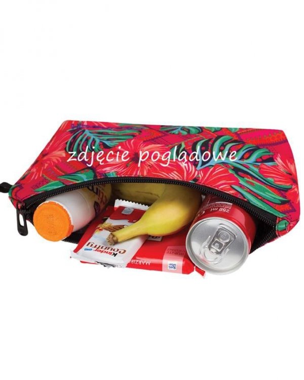 Plecak CP CoolPack Młodzieżowy Rekiny Chłopięcy [B25032]