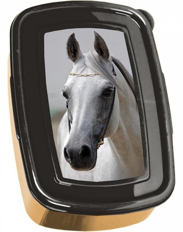 Bidon z Koniem dla Dziewczynki PASO [PP19H-3022]