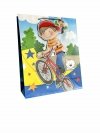 Torebka ozdobna prezentowa 4wz 30x41,5x12cm JP 331A mix cena za 1 szt