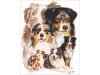 Haft Diamentowy, Obraz, Mozaika Diamentowa Diamond Painting, PIES - OWCZAREK AUSTRALIJSKI 30x40cm - DK