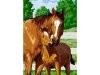 Haft Diamentowy, Obraz, Mozaika Diamentowa Diamond Painting, UROCZY ŹREBAK 30x40cm - DK