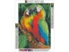 Haft Diamentowy, Obraz, Mozaika Diamentowa Diamond Painting, KOLOROWE ARY PAPUGI 30x40cm - DK