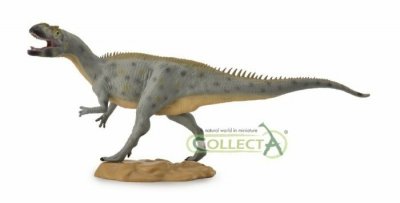 Metriakantoz 88741 COLLECTA