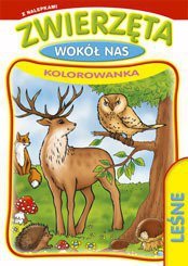 Książeczka do kolorowania Zwierzęta wokół nas p20