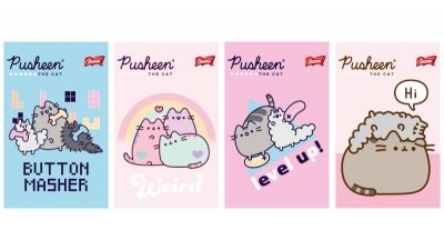 Notatnik A6 50k kratka PUSHEEN p10 mix cena za 1 szt