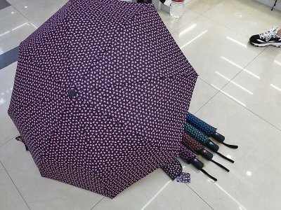 Parasol 555556 ADAR mix cena za 1 szt