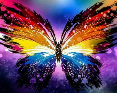 Malowanie po numerach Motyl 50x40cm 1007460