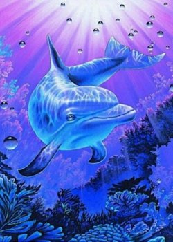 Diamentowa mozaika Delfin 30x40cm 1007429