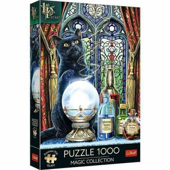 Puzzle 1000el Premium Plus - Magic Collection: Uczeń czarownicy 10898 Trefl