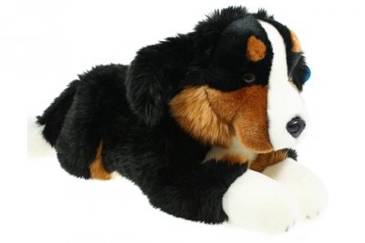 DUBI PLUSZ Pies berneński 61cm 48990