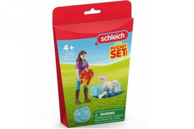 SCHLEICH SLH Przyjęcie urodzinowe z Lisą 42744 92693