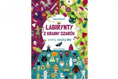 NASZA KSIĘGARNIA Labirynty z Krainy Czarów 42672