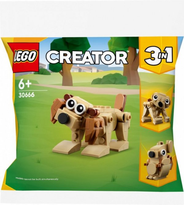 LEGO Klocki Creator 30666 Prezentowe zwierzęta 3 w 1