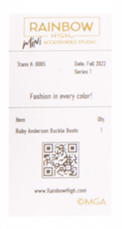 MGA Akcesoria  Rainbow High Buty display 27 sztuk