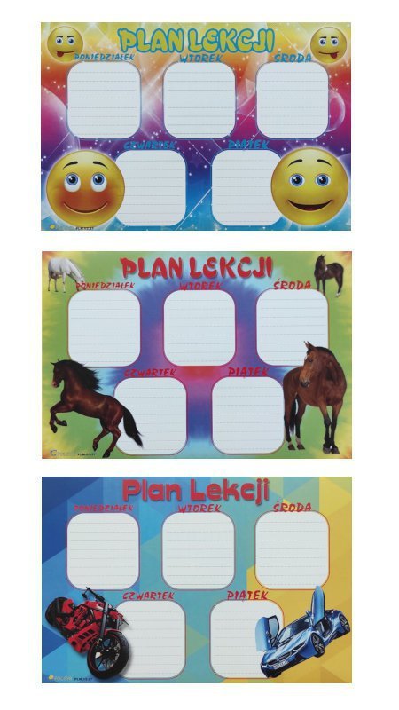 Plan lekcji naklejka 11x16cm p25 cena za 1 sztukę