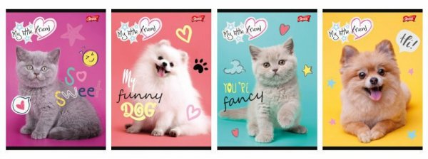 Zeszyt A5 32k krata laminowany My Little Friend p15, mix cena za 1 szt
