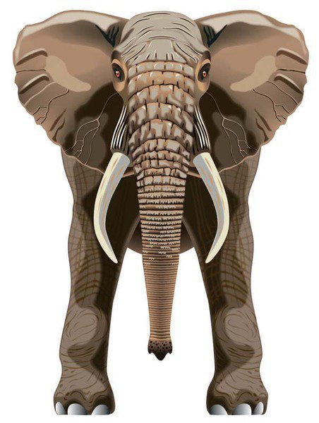 Latawiec BRAINSTORM - WNS SkyZoo 40x30&#039;&#039; Nylon Elephant - Brainstorm