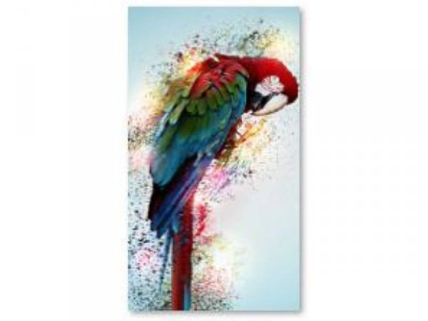 Haft Diamentowy, Obraz, Mozaika Diamentowa Diamond Painting, PAPUGA 30x40cm - DK