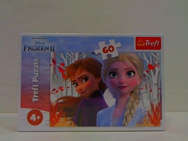 TREFL PUZZLE 60 Zaczarowany świat Anny i Elsy/Froz.17333