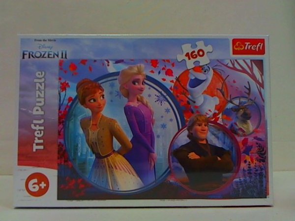TREFL PUZZLE 160 Siostrzana przygoda /Frozen II 15374