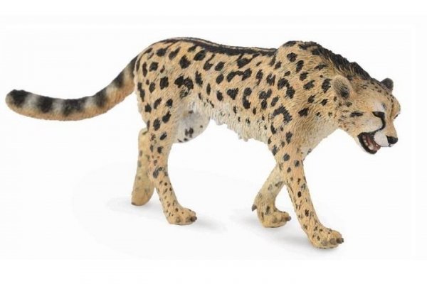 COLLECTA - DANTE Collecta gepard królewski 88608 86084