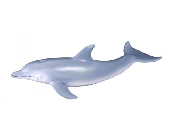 COLLECTA - DANTE Collecta delfin butlonosy 88042 80426