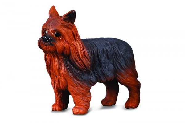 COLLECTA - DANTE Collecta pies yorkshire terrier 88078 80785