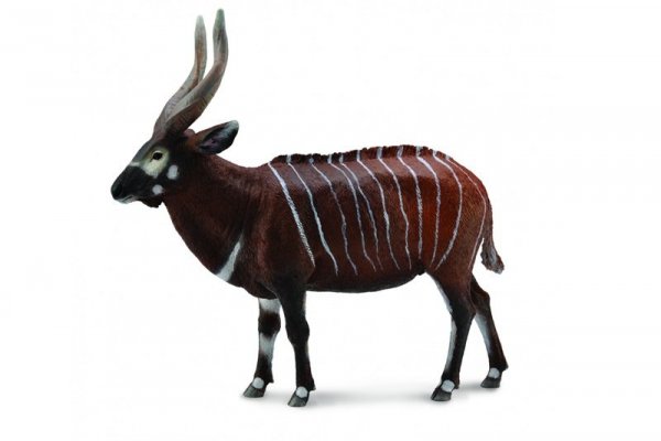 COLLECTA - DANTE Collecta antylopa bongo 88809 88095