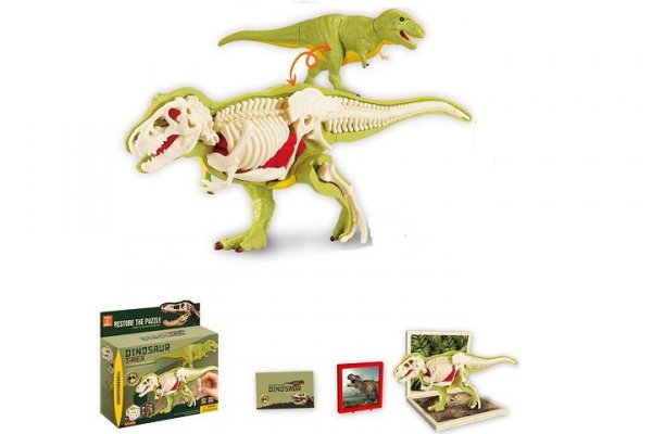 TRIFOX Dinozaur ze szkieletem do składania A-0109 17658