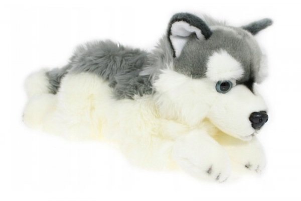 DUBI PLUSZ Pies husky 42cm 32041