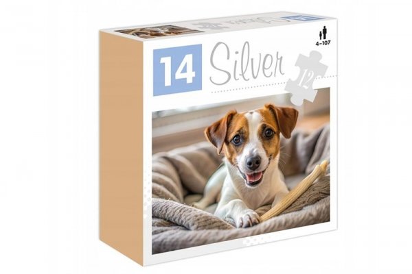 ALEXANDER Puzzle 12el Pies 14 Silver 28843