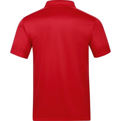 PARASOL: polo