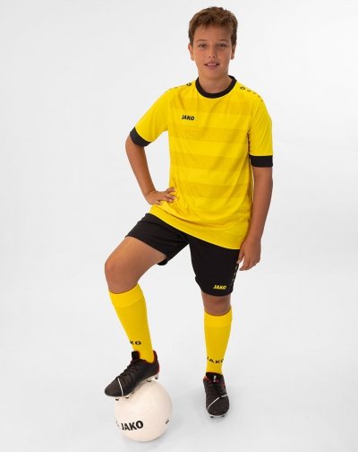 koszulka CELTIC melange kr. rękaw