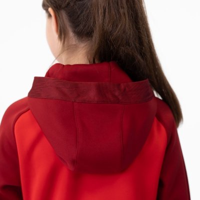 bluza z kapturem ICONIC