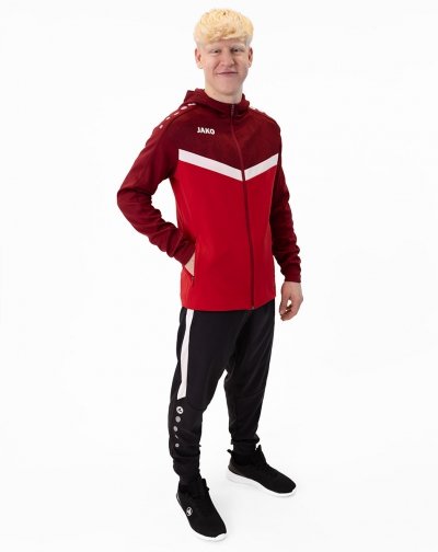 bluza z kapturem ICONIC