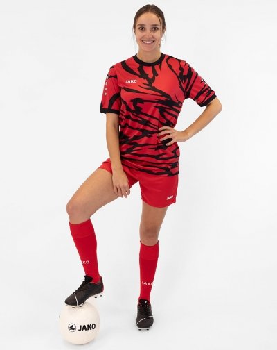 koszulka ANIMAL kr. rękaw