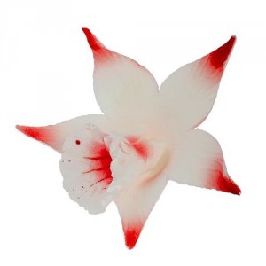 Cukrowa KATLEJA malowana kwiatek z masy cukrowej - 1szt CZERWONA